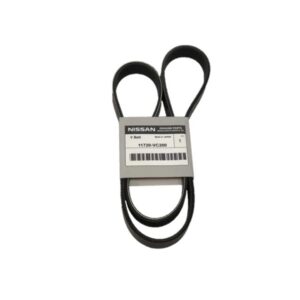 Genuine Nissan Serpentine Drive Belts