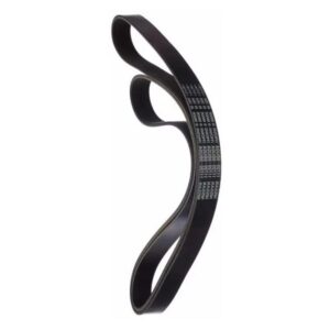 Genuine Nissan Serpentine Drive Belts
