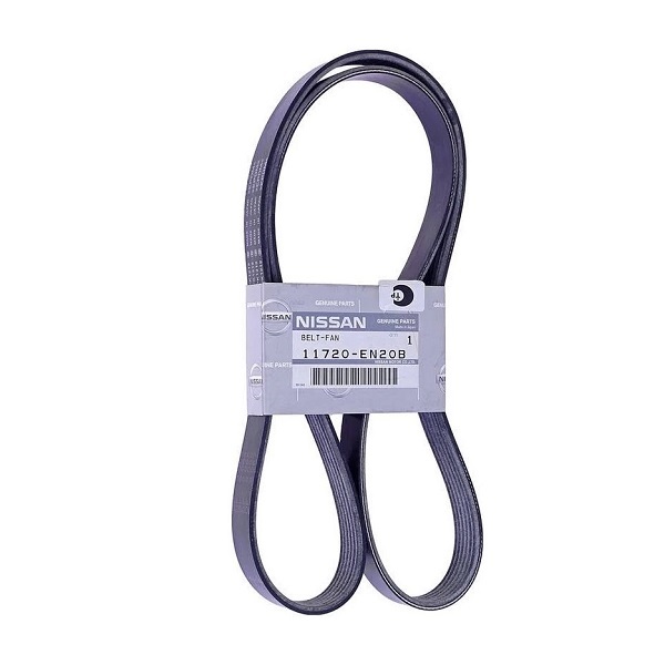 Genuine Nissan Serpentine Drive Belts